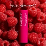 Caudalie Vinotherapist Tinted Lip Balm, Ενυδατικό Στικ για τα Χείλη με Χρώμα, 4.5gr - Image 3