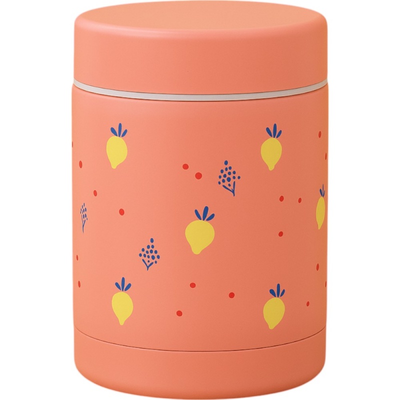 Fresk Θερμός Φαγητού 300ml – Citrus Fruit